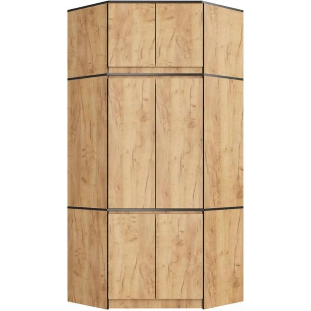 Armoire design moderne marron 50 x 100 x 235 cm